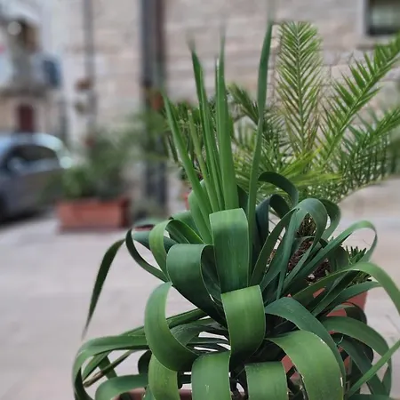 別荘 La Casa Del Colosso *